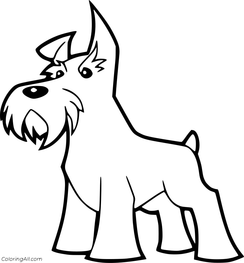 Schnauzer Dog Coloring Page
