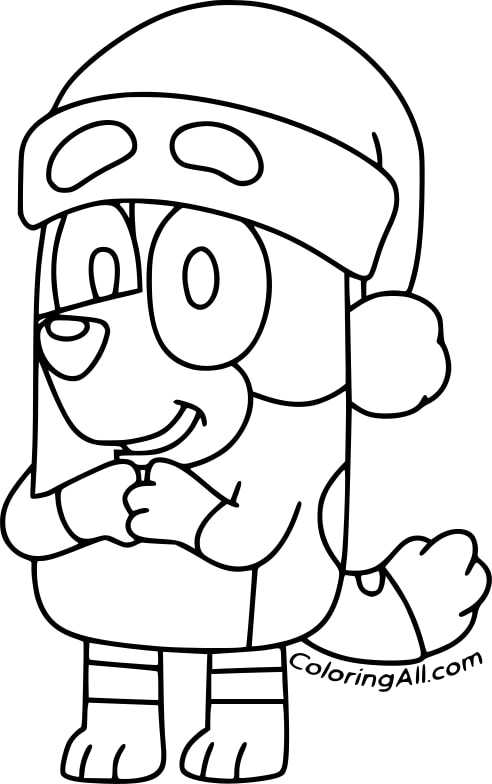 Bluey Christmas
