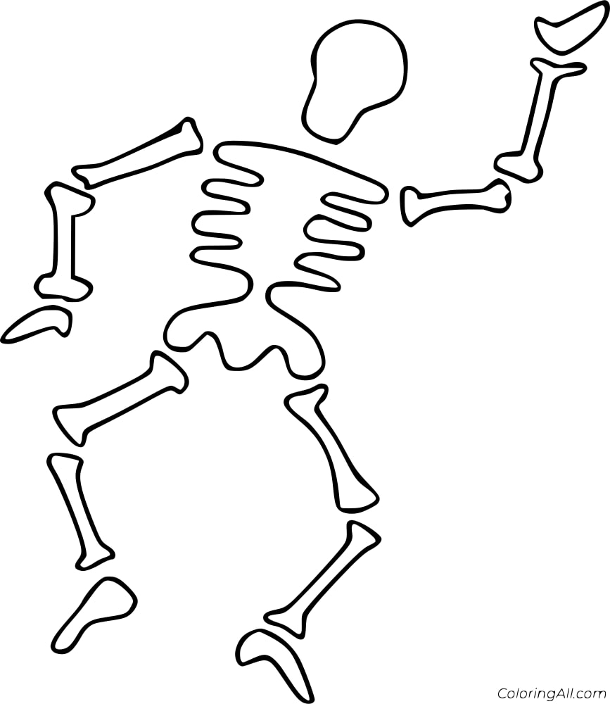 Skeleton